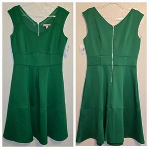NWT dress barn size 10 womens green peplum zip back dress